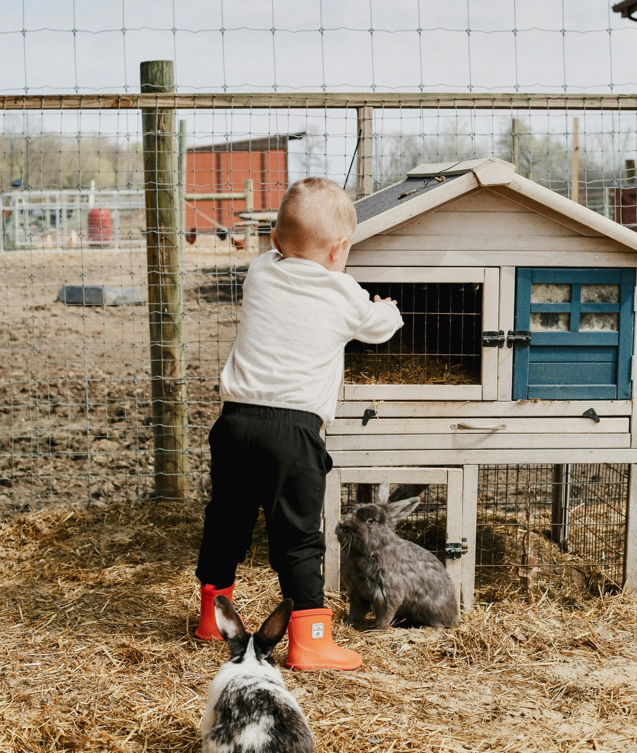 Kinder mit Tieren